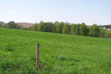 Frühjahrslandschaft